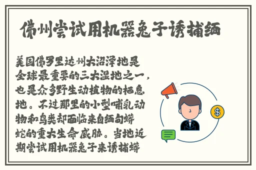 女医生的秘密